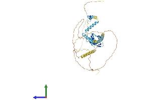 AlphaFold protein structure predicition of Human Recombinant UPF3A Protein, UniprotID Q9H1J1 (UPF3A Protein (AA 1-476) (His tag))