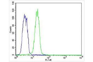 Overlay histogram showing K562 cells stained with (ABIN656663 and ABIN2845904) (green line). (KRT12 antibody  (C-Term))