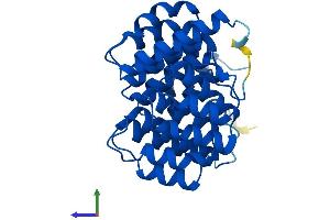 AlphaFold protein structure predicition of Mouse Recombinant Dohh Protein, UniprotID Q99LN9