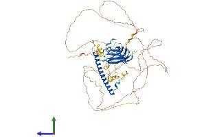 AlphaFold protein structure predicition of Human Recombinant RAB11FIP5 Protein, UniprotID Q9BXF6