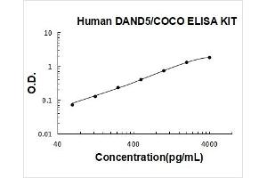 DAN Domain Family, Member 5 (DAND5) ELISA Kit