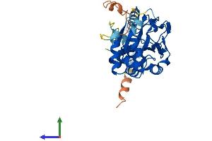 AlphaFold protein structure predicition of Mouse Recombinant Asphd2 Protein, UniprotID Q80VP9