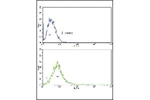 Flow Cytometry (FACS) image for anti-Activating Transcription Factor 6 (ATF6) (AA 350-377) antibody (ABIN652625)