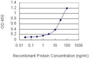 Detection limit for recombinant GST tagged NXPH3 is 0. (NXPH3 antibody  (AA 1-252))