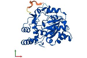 AlphaFold protein structure predicition of Mouse Recombinant Sult1c2 Protein, UniprotID Q9D939 (SULT1C2 Protein (AA 1-296) (His tag))