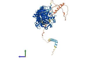 Protein Structure (PS) image for tRNA-YW Synthesizing Protein 1 Homolog (TYW1) (AA 1-721) protein (His tag) (ABIN7564372)