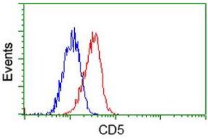 Flow cytometric Analysis of Jurkat cells, using anti-CD5 antibody (ABIN2452892), (Red), compared to a nonspecific negative control antibody (ABIN2452892), (Blue). (CD5 antibody)