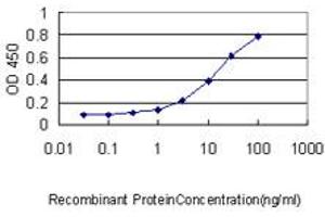 Detection limit for recombinant GST tagged SH3GLB1 is approximately 0. (SH3GLB1 antibody  (AA 1-365))