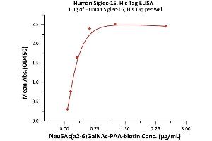 Immobilized Human Siglec-15, His Tag (ABIN6731345,ABIN6809919) at 10 μg/mL (100 μL/well) on streptavidin precoated (0.