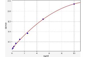 Typical standard curve (Tec Protein Tyrosine Kinase (TEC) ELISA Kit)