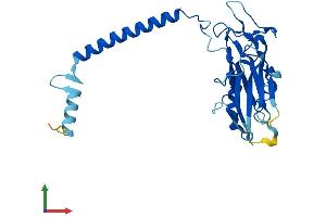 AlphaFold protein structure predicition of Human Recombinant ATP1B3 Protein, UniprotID P54709 (ATP1B3 Protein (AA 1-279) (His tag))