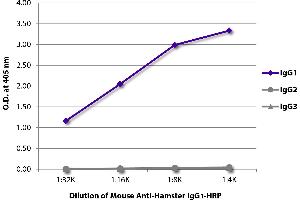 ELISA plate was coated with purified hamster IgG1, IgG2, and IgG3. (Mouse anti-Hamster IgG1 Antibody (HRP))