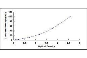 Actin, beta (ACTB) ELISA Kit
