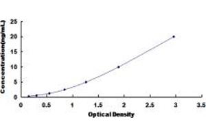 HMGA1 ELISA Kit