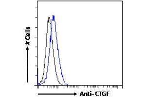 ABIN6391344 Flow cytometric analysis of paraformaldehyde fixed HepG2 cells (blue line), permeabilized with 0. (CTGF antibody  (Internal Region))