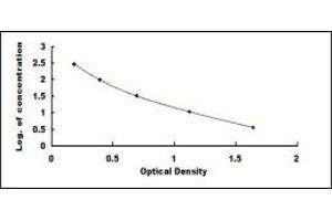 Typical standard curve (Big Dynorphin ELISA Kit)