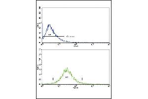 Flow cytometric analysis of HepG2 cells using P3 Antibody (Center)(bottom histogram) compared to a negative control cell (top histogram). (MMP3 antibody  (AA 298-327))
