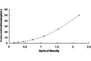Typical standard curve (CPA3 ELISA Kit)