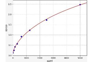Typical standard curve (FLT3 ELISA Kit)