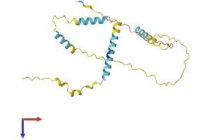 Family with Sequence Similarity 228, Member A (FAM228A) (AA 1-206) protein (His tag)