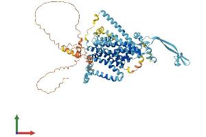 AlphaFold protein structure predicition of Human Recombinant SLC34A2 Protein, UniprotID O95436