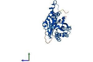 Protein Structure (PS) image for Nitrilase 1 (NIT1) (AA 1-327) protein (His tag) (ABIN7549718)