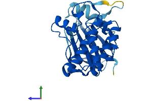 Protein Structure (PS) image for Testis-Specific Serine Kinase 3 (TSSK3) (AA 1-268) protein (His tag) (ABIN7544882)