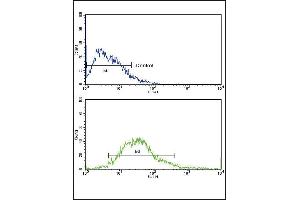 Flow cytometric analysis of MCF-7 cells using FGFR1 Antibody (N-term) (bottom histogram) compared to a negative control cell (top histogram). (FGFR1 antibody  (N-Term))