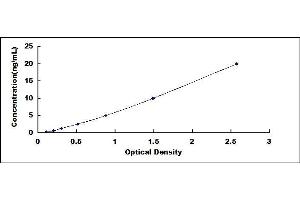 Typical standard curve (CREG1 ELISA Kit)