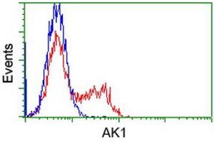 Flow Cytometry (FACS) image for anti-Adenylate Kinase 1 (AK1) antibody (ABIN1496517) (Adenylate Kinase 1 antibody)