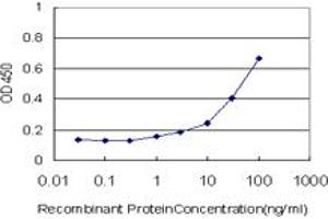 Detection limit for recombinant GST tagged C3 is approximately 1ng/ml as a capture antibody. (C3 antibody  (AA 1534-1644))