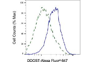Validation of DDOST knockdown using flow cytometry. (DDOST antibody)