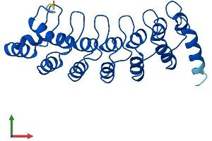 AlphaFold protein structure predicition of Mouse Recombinant Psmd10 Protein, UniprotID Q9Z2X2