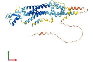 AlphaFold protein structure predicition of Mouse Recombinant Panx1 Protein, UniprotID Q9JIP4 (PANX1 Protein (AA 1-426) (His tag))