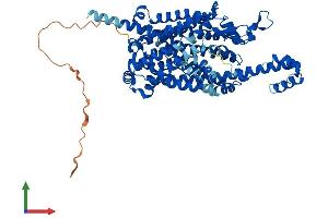 AlphaFold protein structure predicition of Mouse Recombinant Slc6a20b Protein, UniprotID O88575 (Slc6a20b Protein (AA 1-635) (His tag))
