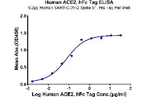 Immobilized Human SARS-COV-2 Spike S1, His Tag at 2 μg/mL (100 μL/Well). (ACE2 Protein (AA 18-740) (Fc Tag))