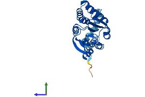 AlphaFold protein structure predicition of Human Recombinant COMT Protein, UniprotID P21964 (COMT Protein (AA 1-271) (His tag))
