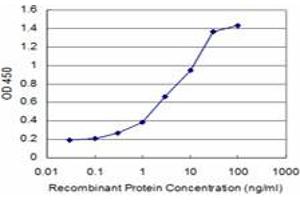 Detection limit for recombinant GST tagged BRAF is approximately 0. (BRAF antibody  (AA 138-231))