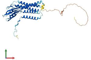 AlphaFold protein structure predicition of Mouse Recombinant Duoxa1 Protein, UniprotID Q8VE49