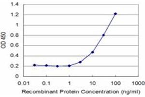 Detection limit for recombinant GST tagged SAFB2 is approximately 3ng/ml as a capture antibody. (SAFB2 antibody  (AA 103-199))