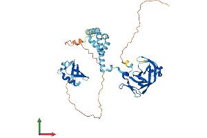 Protein Structure (PS) image for DNA-Damage Inducible 1 Homolog 1 (DDI1) (AA 1-408) protein (His tag) (ABIN7561218)