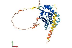 AlphaFold protein structure predicition of Mouse Recombinant Bcl2 Protein, UniprotID P10417 (Bcl-2 Protein (AA 1-236) (His tag))
