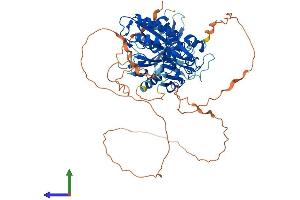 AlphaFold protein structure predicition of Human Recombinant DTX2 Protein, UniprotID Q86UW9 (DTX2 Protein (AA 1-622) (His tag))