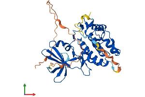 AlphaFold protein structure predicition of Mouse Recombinant Trib2 Protein, UniprotID Q8K4K3