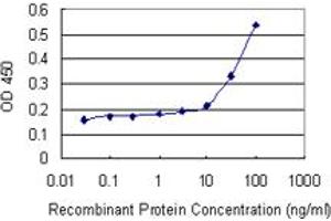 Detection limit for recombinant GST tagged C20orf79 is 3 ng/ml as a capture antibody. (SCP2D1 antibody  (AA 1-156))