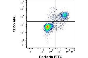 Flow cytometry multicolor surface staining pattern of human lymphocytes using anti-human CD56 (LT56) APC antibody (10 μL reagent / 100 μL of peripheral whole blood) and intracellular staining of human lymphocytes using anti-human Perforin (dG9) FITC antibody (10 μL reagent / 100 μL of peripheral whole blood). (Perforin 1 antibody  (FITC))