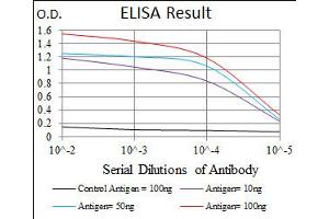 Image no. 7 for anti-Cyclin-Dependent Kinase 2 (CDK2) (AA 197-295) antibody (ABIN1497393)