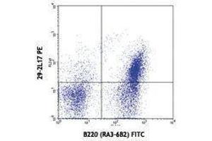 Flow Cytometry (FACS) image for anti-Chemokine (C-C Motif) Receptor 6 (CCR6) antibody (PE) (ABIN2663127) (CCR6 antibody  (PE))