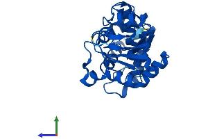 AlphaFold protein structure predicition of Mouse Recombinant Enoph1 Protein, UniprotID Q8BGB7