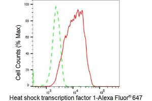 Flow cytometric analysis of Heat shock transcription factor 1 expression in HepG2 cells using Heat shock transcription factor 1 antibody (ABIN7798861), 1:2,000). (Recombinant HSF1 antibody)
